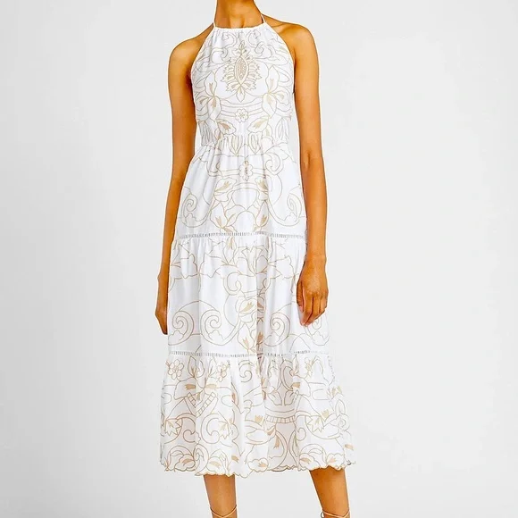 express embroidered dress Embroidered V-neck Sleeveless Mini Shift Dress